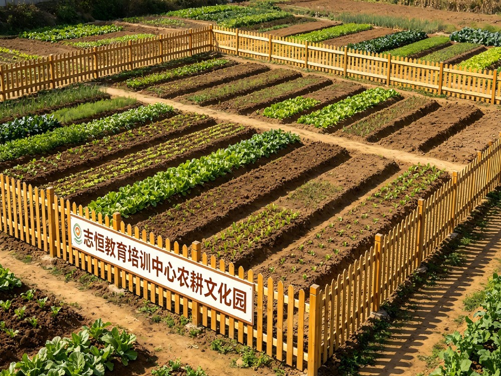 泰州有实力的全封闭管教学校推荐：理性择校与底层逻辑解析